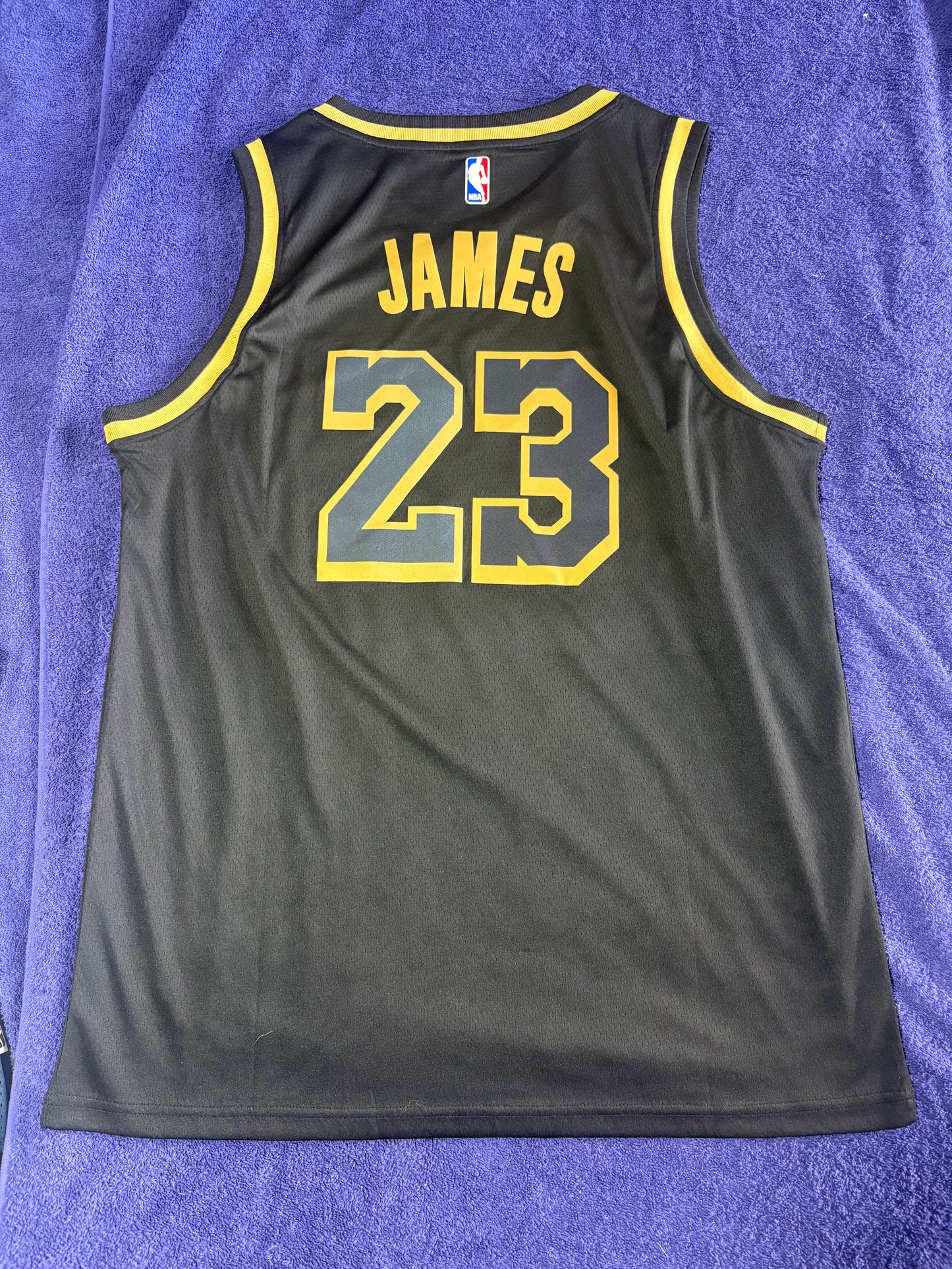 Los Angeles Lakers Fan Retro NBA Basketball Vest Large James 23