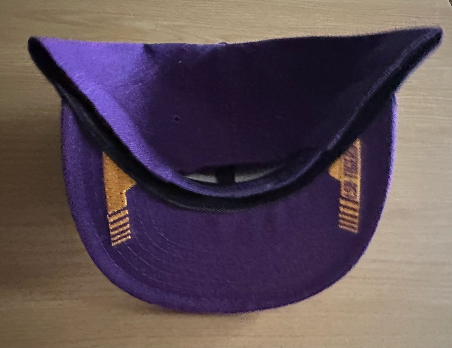 LSU Tigers SnapBack Baseball Cap Multicolour New With Sticker