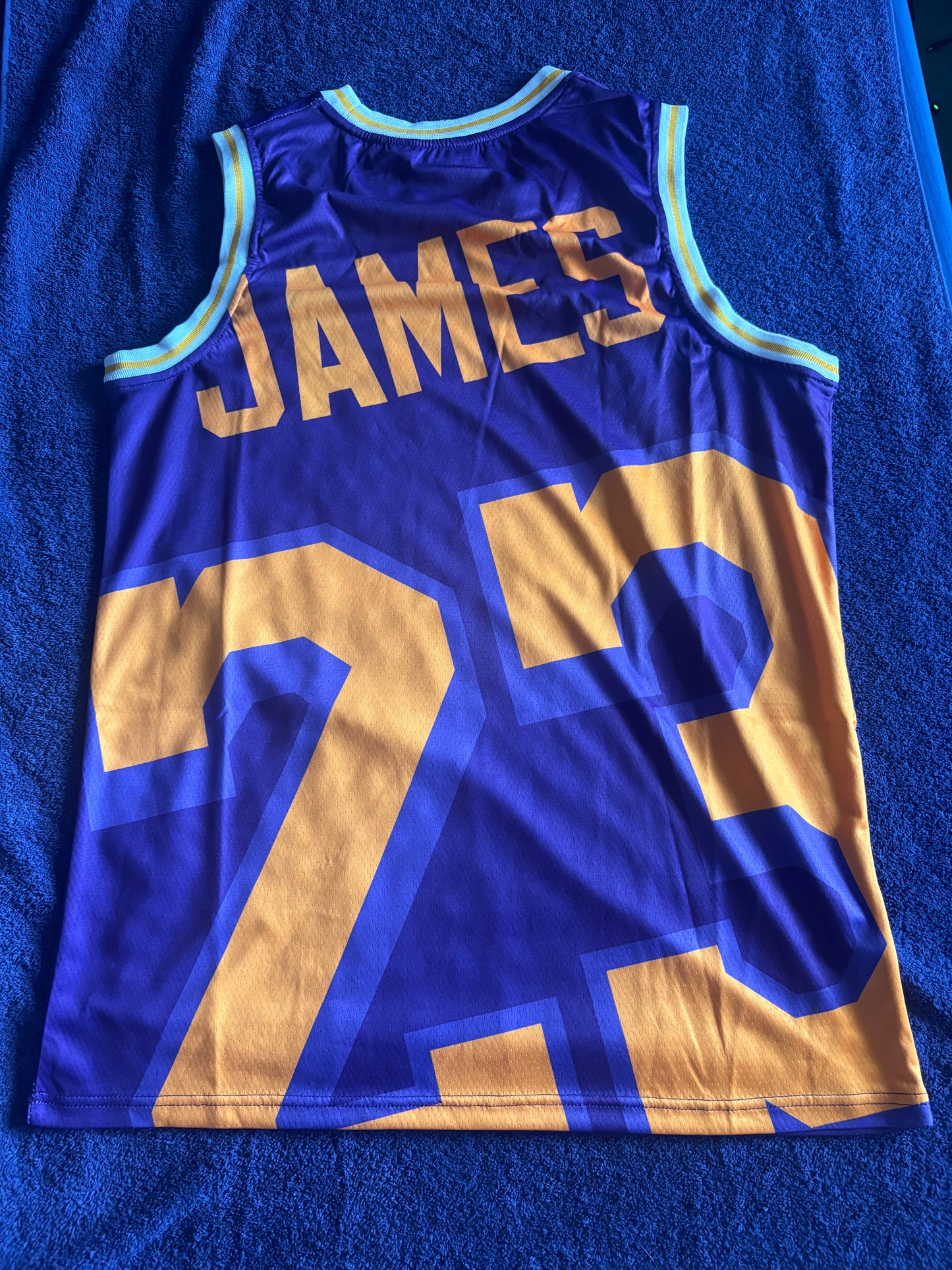Los Angeles Lakers M&N NBA HardWood Classics Basketball Vest Large James 23