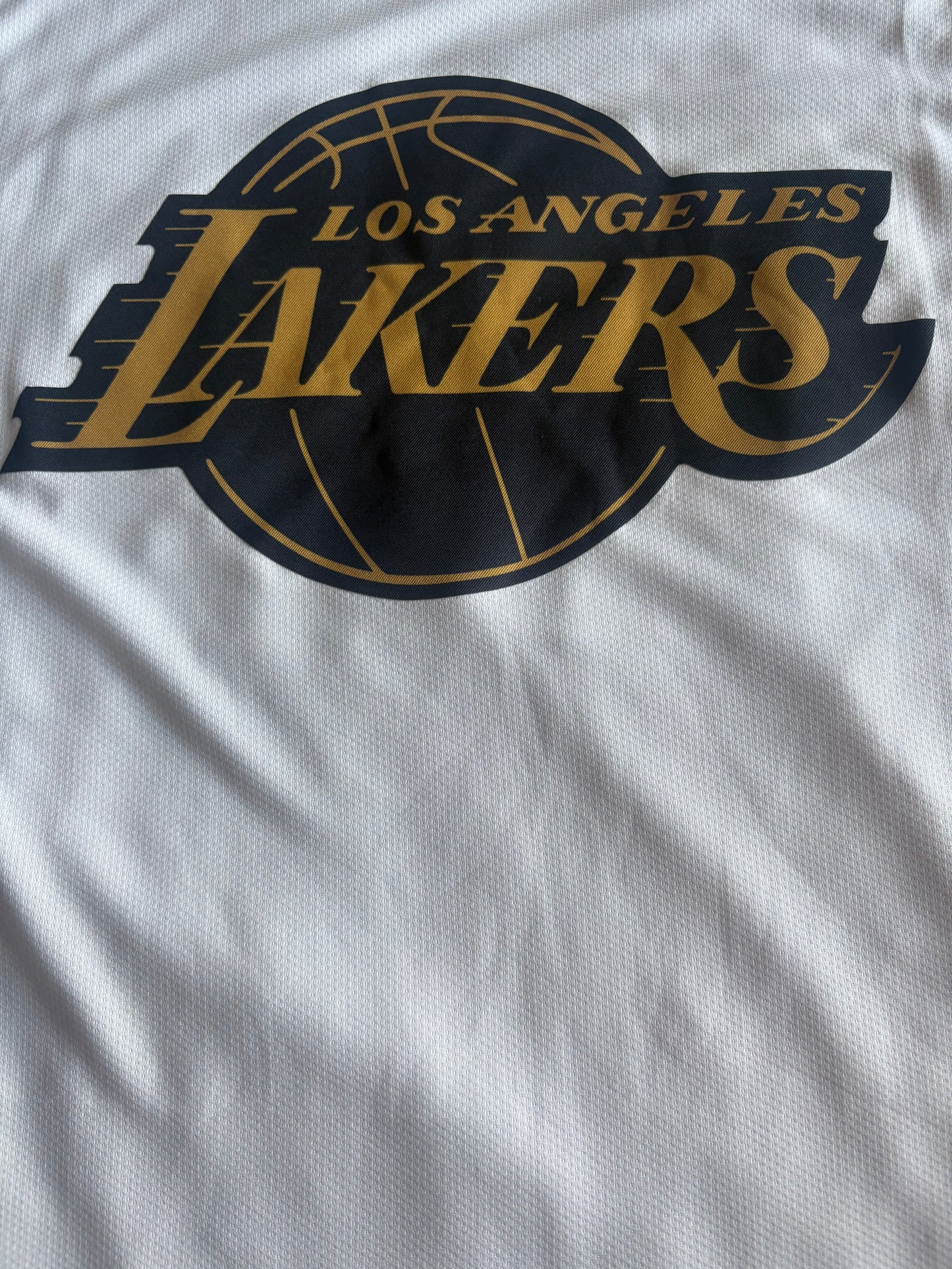 Los Angeles Lakers Fan Retro NBA Basketball Vest Large James 23