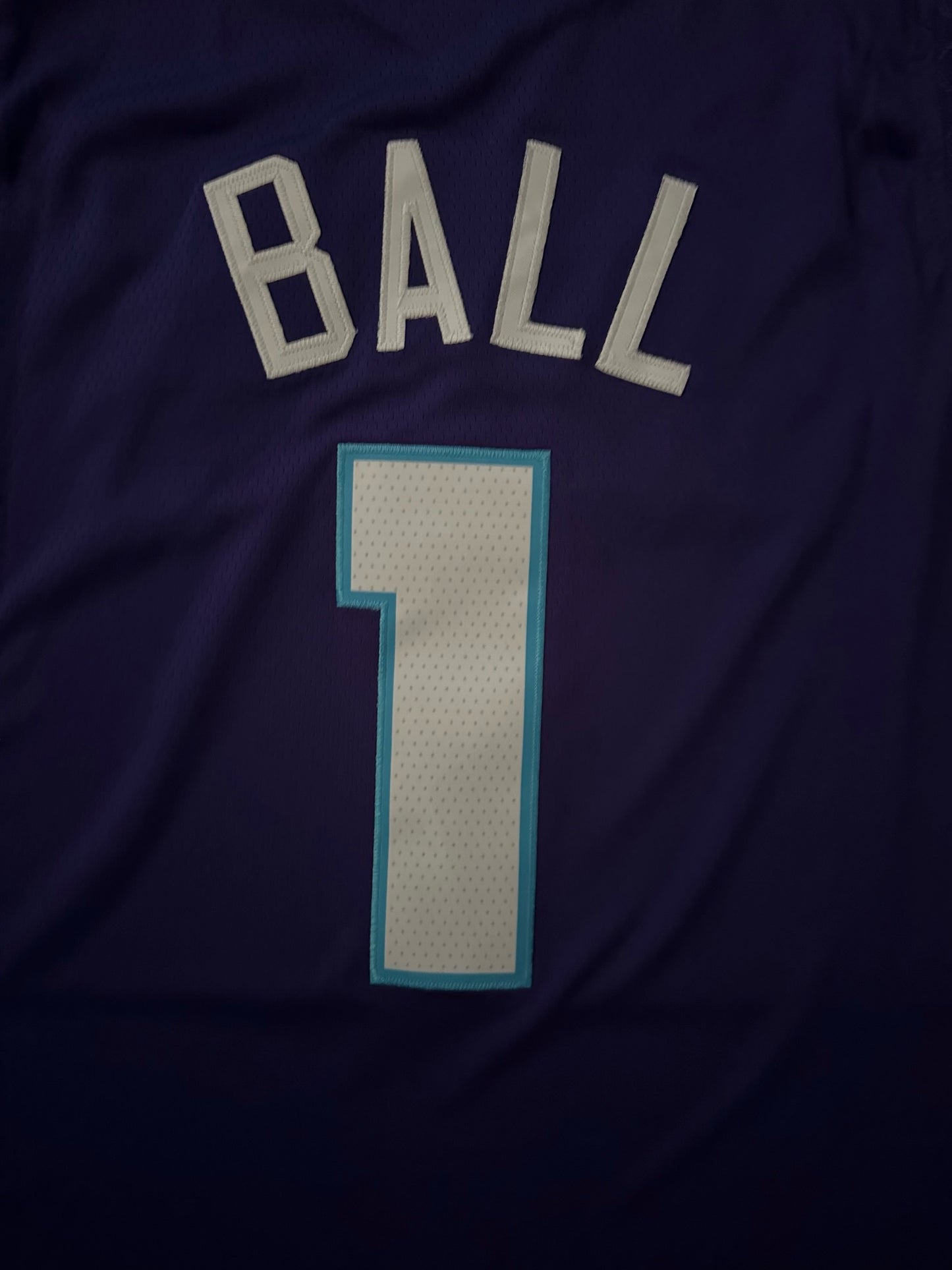 Charlotte Hornets NBA Basketball Vest Large Ball 1 Purple