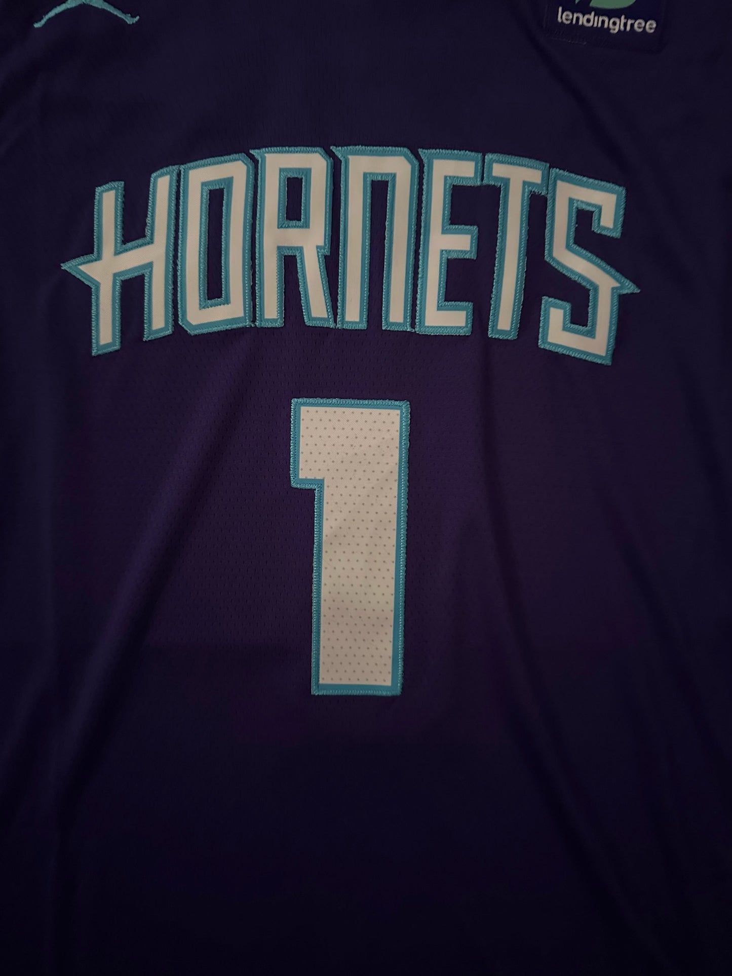 Charlotte Hornets NBA Basketball Vest Large Ball 1 Purple