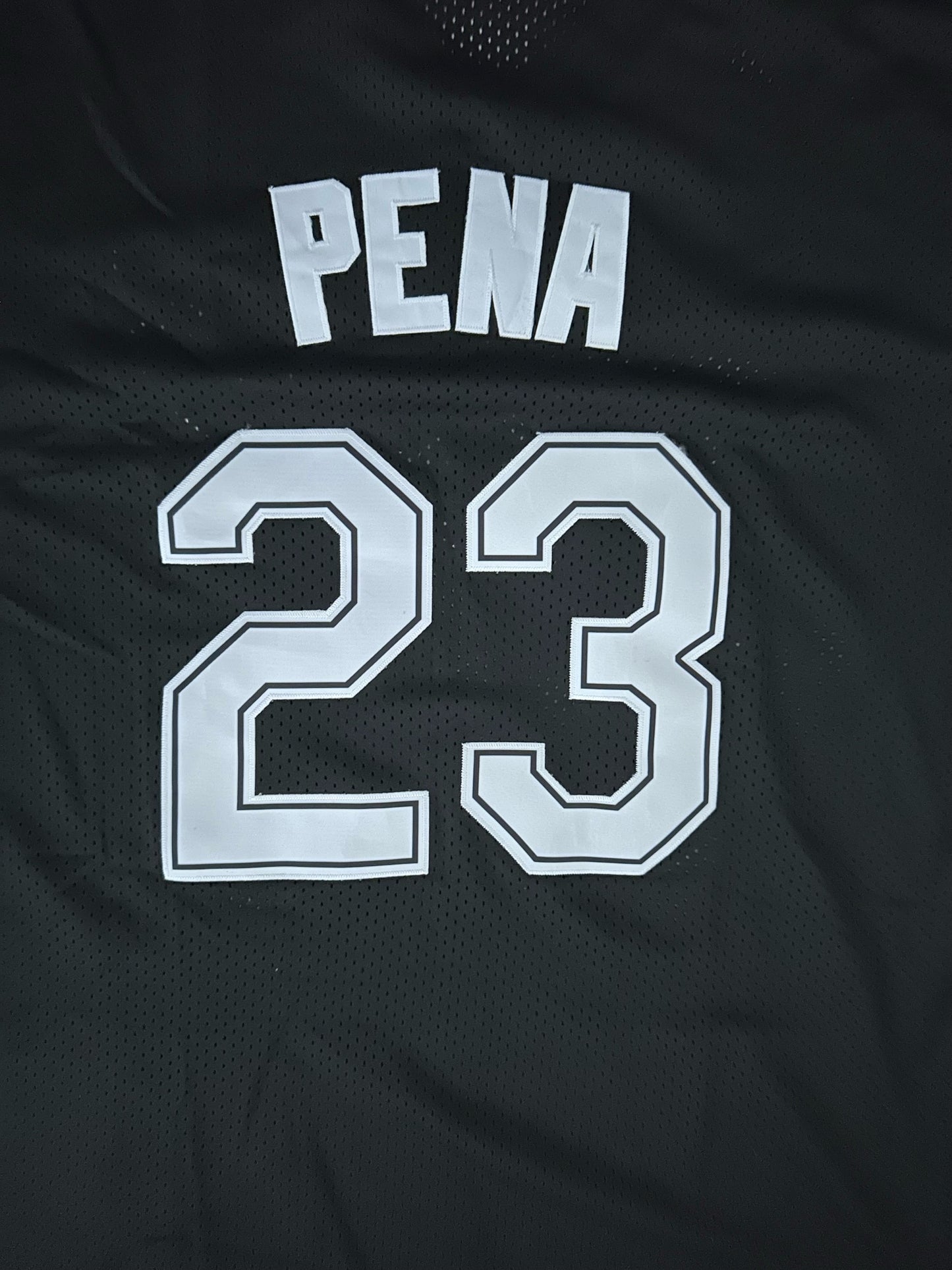 Tampa Bay Rays MLB Baseball Shirt Large Pena 23 Black