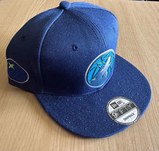Minnesota Timberwolves NBA SnapBack Baseball Cap Multicolour New With Sticker