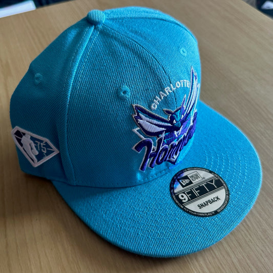 Charlotte Hornets NBA SnapBack Baseball Cap Multicolour New With Sticker