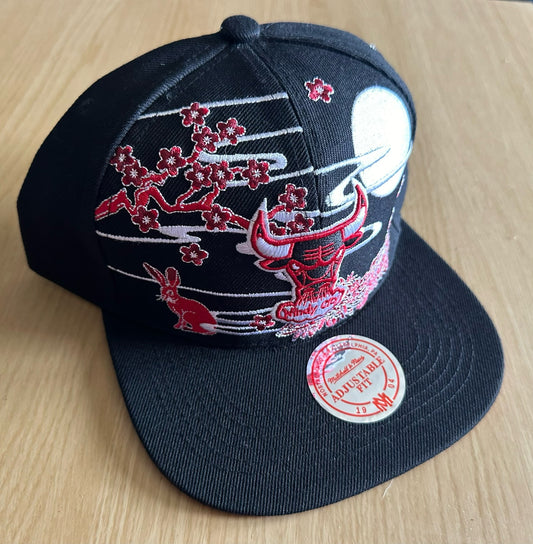 Chicago Bulls NBA SnapBack Baseball Cap Multicolour New With Sticker