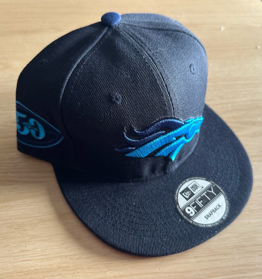 Denver Broncos NFL SnapBack Baseball Cap Multicolour New With Sticker
