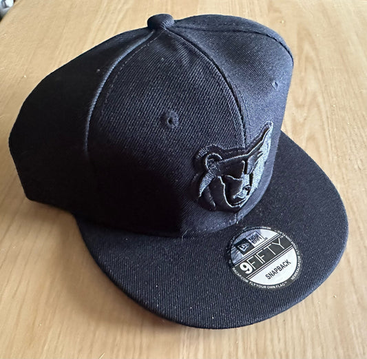 Memphis Grizzlies NBA SnapBack Baseball Cap Multicolour New With Sticker