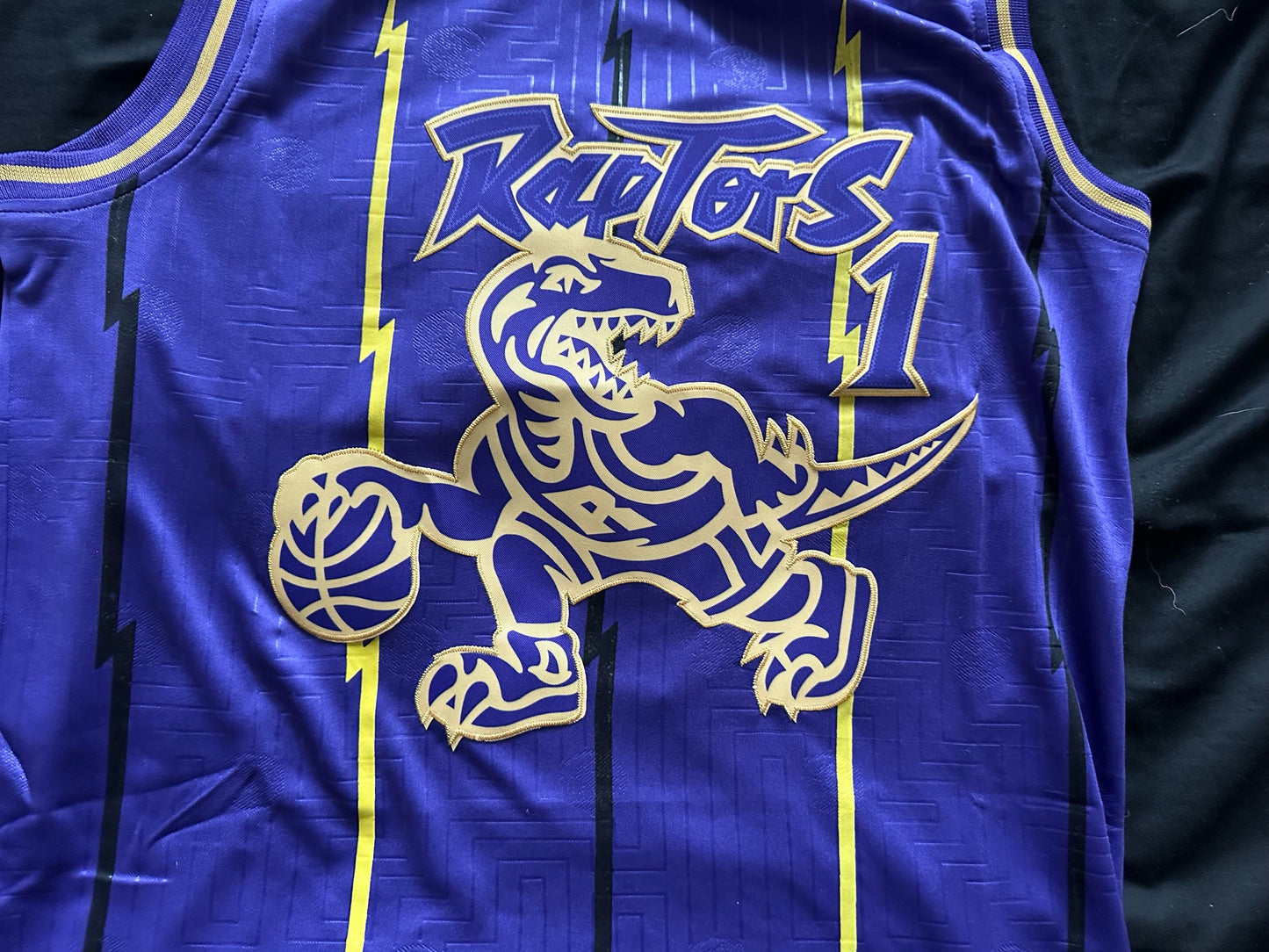 Retro Hardwood Classics Toronto Raptors McGrady Basketball Vest Large