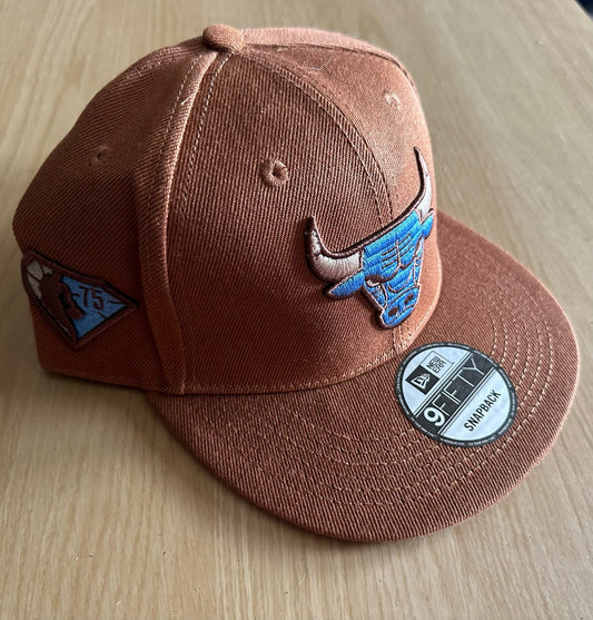 Chicago Bulls NBA SnapBack Baseball Cap Multicolour New With Sticker